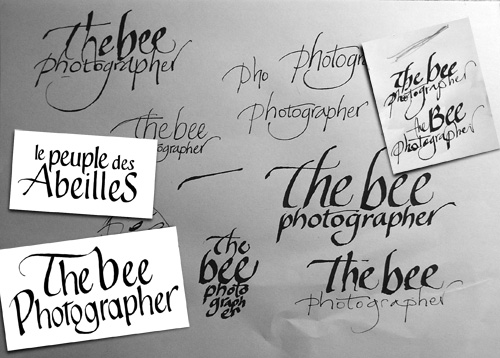 thebeephotographer